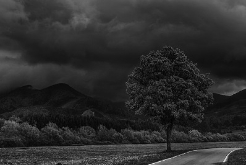 Hlasovanie MAS o najkrajsiu fotografiu